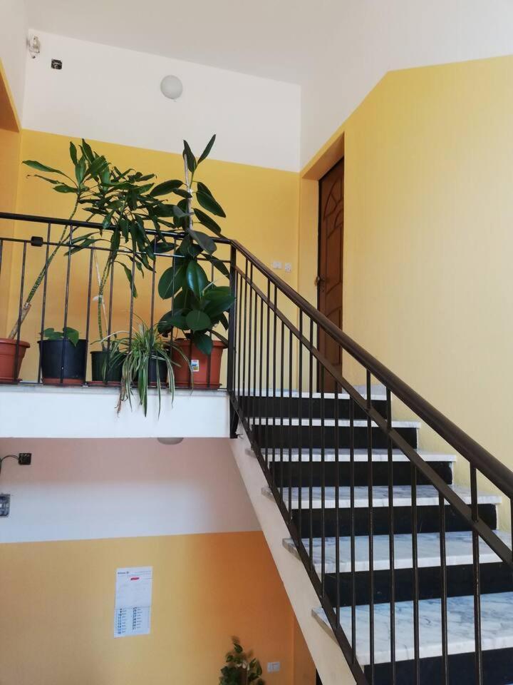 Apartamento Casa Giulia Al Centro Di Olbia Codice Iun P4011 Exterior foto